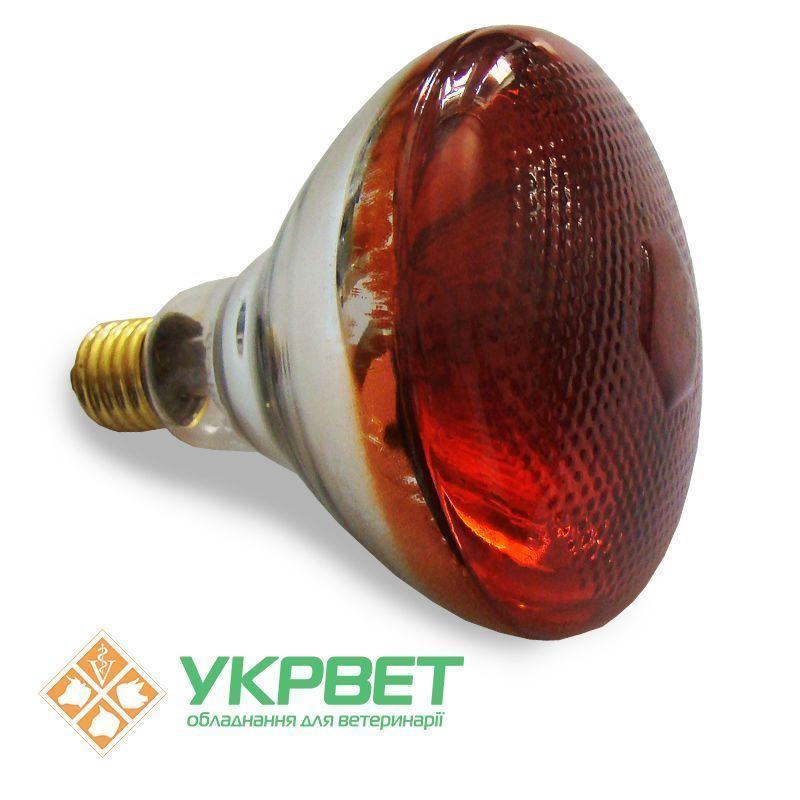 Інфрачервона лампа 250 Вт для обігріву тварин, товсте скло з напиленням, Bongbada