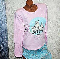 Размер L (46-48). Стильная женская пижама, комплект 4 в 1 для дома и сна, 100% коттон, кофта, штаны, тапки