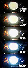 Лампа штатна ксенонова цоколь D1S, світло 4300К, фото 3