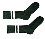 Шкарпетки Sammy Icon Vert 36-40, фото 2