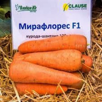 Насіння моркви Мірафлорес F1 фр.2,0-2,25, 100000 насіння — тип Шантане, (Clause)