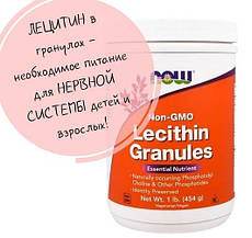 Лецитин в гранулах, Now Foods, Lecithin Granules, 454 грами, офіційний сайт