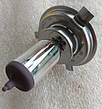 Лампа галогенова Narva H4 24v 75/70w, фото 2