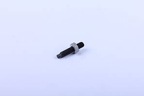 Гвинт декомпресії двигуна DL190-12