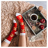 Шкарпетки Sammy Icon Ginger 40-46, фото 2