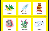 Українська мова. 1 клас. Дидактичні картки. Асоціації : у 3 ч. : комплект 2 : звуки [ж]-[ш], [ш]-[ш], [ж]-[ж], [ч]-[ч]., фото 9