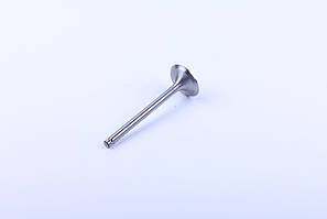 Клапан випускний двигуна DL190-12