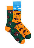 Шкарпетки Sammy Icon набір Autumn set UA 36-40, фото 3