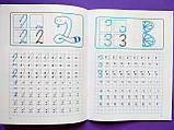 Я вчусь писати. Цифри. Клітинка. (Торсінг), фото 3