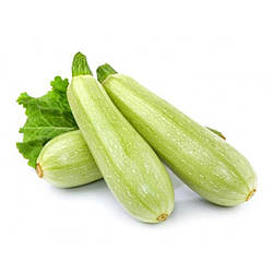 Дуня F1 / Dynia F1 - Кабачок, Enza Zaden. 500 насіння