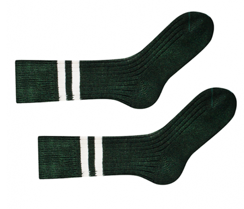 Шкарпетки Sammy Icon Vert 36-40, фото 2