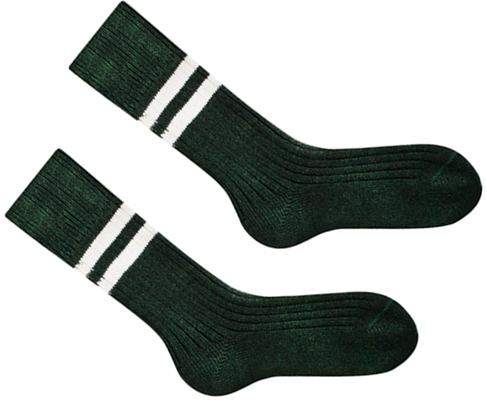 Шкарпетки Sammy Icon Vert 36-40, фото 3