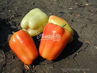 Фламінго F1 Flamingo F1 Перець