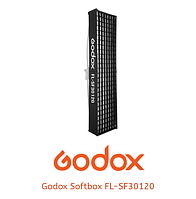 Софтбокс з сіткою Godox SOFTBOX FL-SF30120 для FL150R (FL-SF30120)