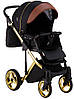 Коляска 2 в 1 Adamex Luciano Polar (Gold) Y800 коричневий (шкіра) - чорний, фото 6