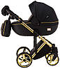 Коляска 2 в 1 Adamex Luciano Polar (Gold) Q85 чорний - чорна шкіра (видавлений точка), фото 3