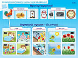 Навчальні плакати А3 до інтегрованого курсу «Я досліджую світ» 1-2 класи. (Основа), фото 3
