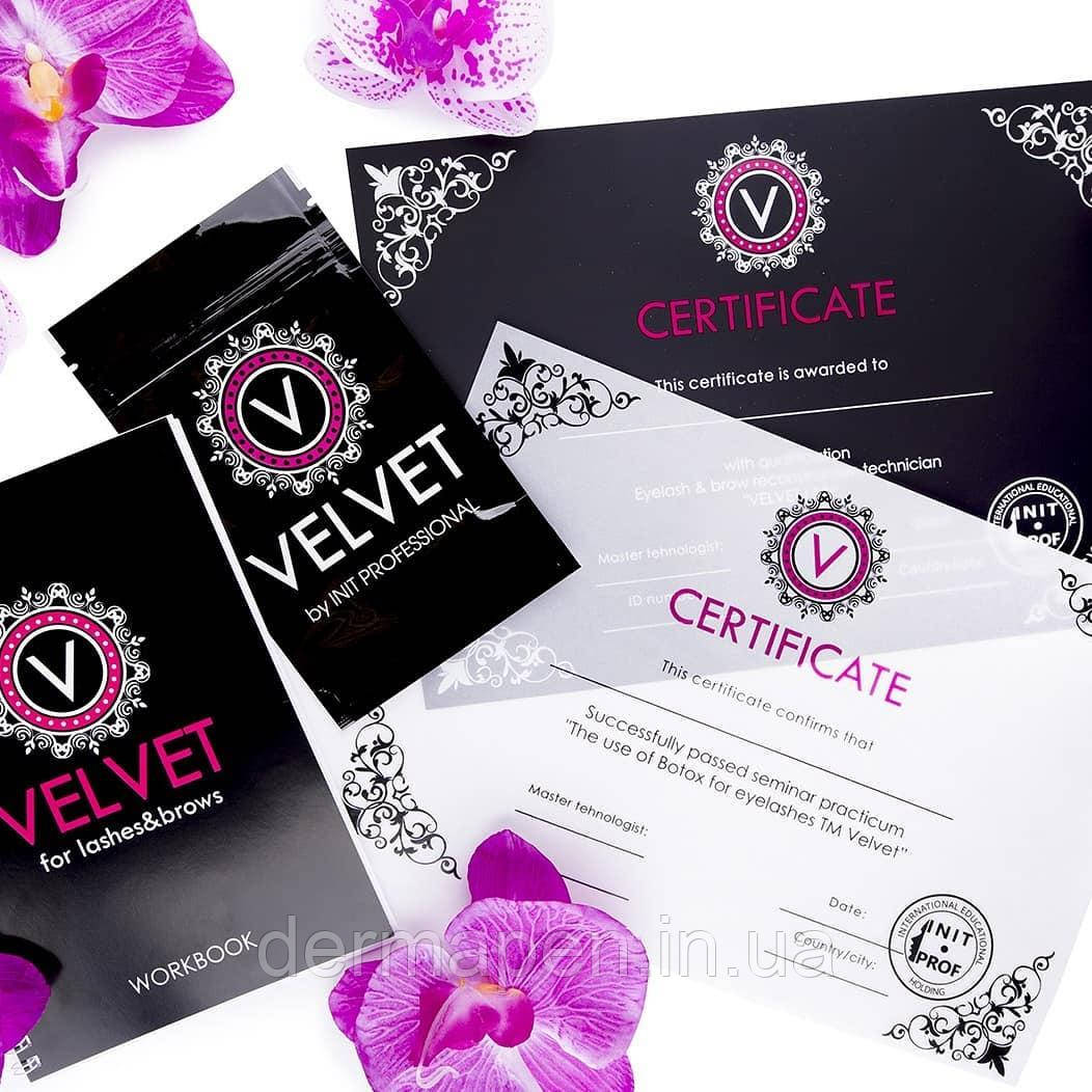Навчання VELVET Ресниць (міжнародний сертифікат)