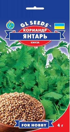 Насіння коріандру (кінза) Бурштин 4 м, GL SEEDS, фото 2