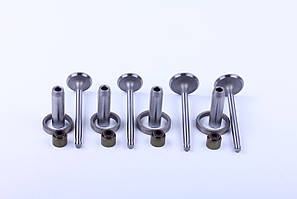 Клапана впуск випуск двигуна TY295