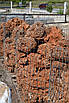 Дрібний Бут з твердою вулканічної породи "SPAGETI Stone" KLVIV, фото 4