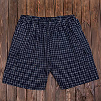 Чоловічі шорти в клітинку великого розміру (Льон)