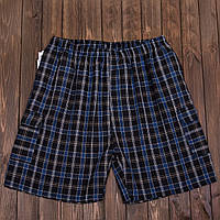 Чоловічі шорти в клітинку великого розміру (Льон)