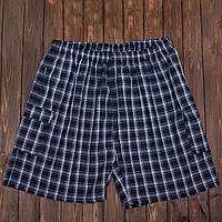 Чоловічі шорти в клітинку великого розміру (Льон)