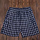 Чоловічі шорти в клітинку великого розміру (Льон) - фото 1 - id-p1086010694