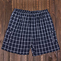 Чоловічі шорти в клітинку великого розміру (Льон)