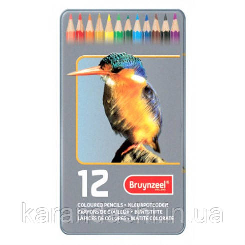 Набір кольорових олівців BIRD 12 шт. в металевій коробці Bruynzeel 8511M12 60312901