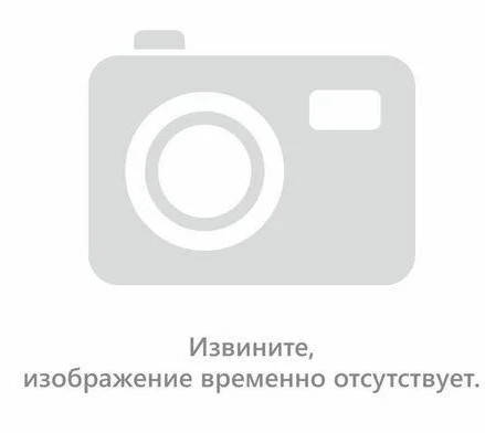 Лійка для поливу 8 л, Україна, фото 2