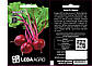 Насіння Буряка Зепо F1 200 шт (Leda Agro), ультраранній сорт для відкритого ґрунту та теплиць, фото 2
