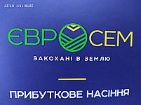 Соняшник ТОР НС 7749 Оптимум фракція. Насіння ТОР СУМО заразиха A-G+. 90-95 днів,, фото 8
