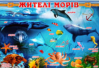 Плакат. Жителі морів. (680х470 мм.) (СП)