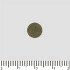 DHC Джимнема, 60 таблеток на 20 днів прийому. До 10/2027, фото 2