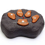 Іграшковий Динозавр «Тиранозавр» на радіоуправлінні Зелений (звук, світло) арт. F161/352, фото 7