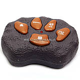 Іграшковий Динозавр «Тиранозавр» на радіоуправлінні Коричневий (звук, світло) арт. F161, фото 6