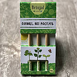 Подарунковий набір з зростаючими олівцями Мрія подарунок для вчителя на 8 березня, фото 7