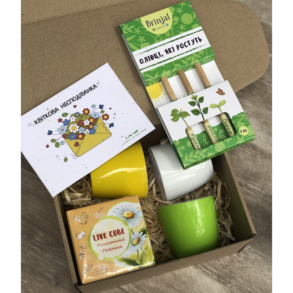 Подарунковий набір з зростаючими олівцями Мрія подарунок для вчителя на 8 березня, фото 1