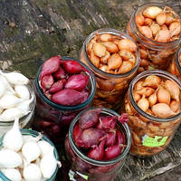 Семена из Голландии и агрохимия — купить на "OGOROD.NET.UA"