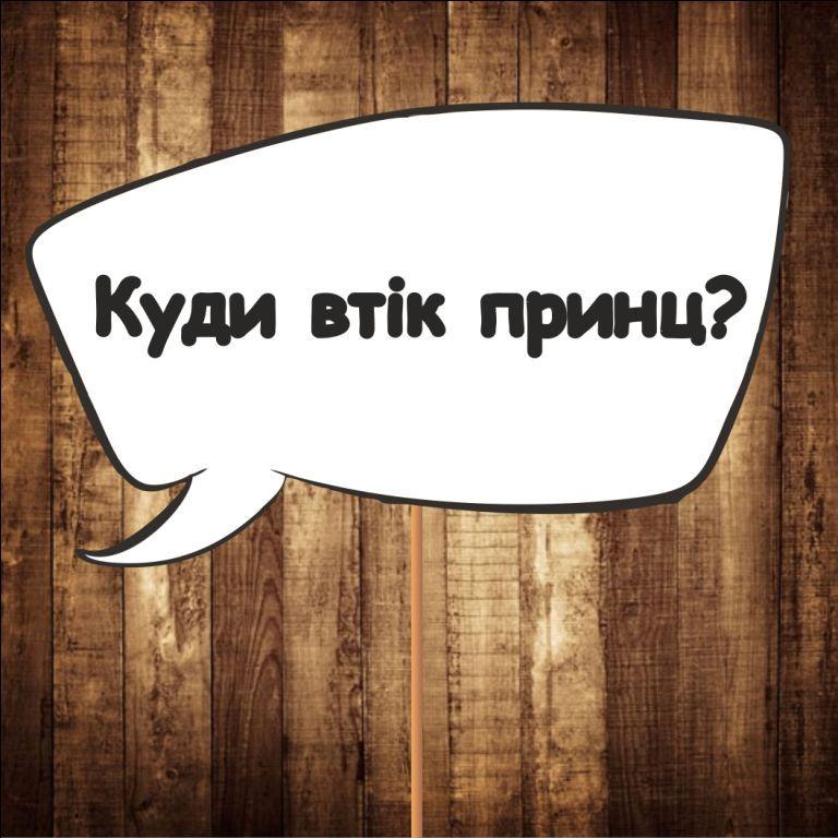 Табличка "Куди втік принц?" <unk> Розмір 30х20 см, фото 1