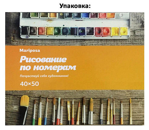 MR-Q497 Розмальовка за номерами Альпійский пейзаж. Каплиця худ. Томас Кінкейд, фото 3