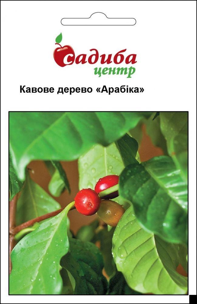Семена кофейное дерево Арабика 1 г, Hem Zaden - фото 1 - id-p442128754