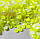 Стрази Swarovski, колір Electric Yellow, ss30 (6,5 мм), 1 шт., фото 2