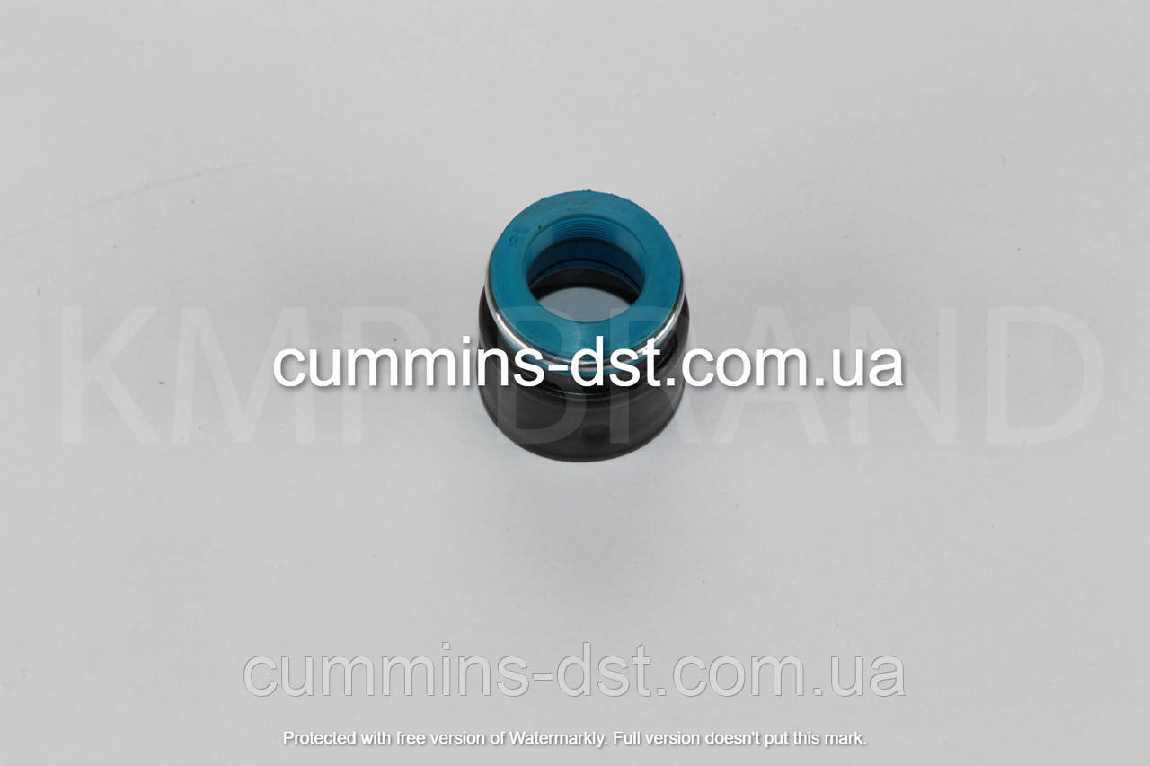 Сальники клапанів Cummins L10/M11/QSM11/ISM11, фото 1