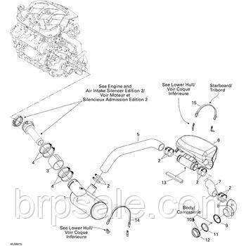 Шланг вихлопної Sea-Doo BRP Hose exhaust, фото 1