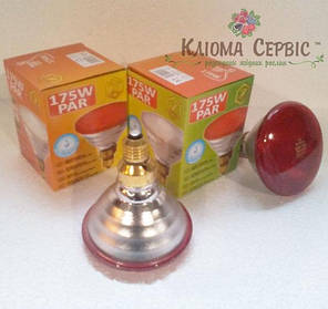 Інфрачервона лампа Lux Light IR PAR38 150 Вт, Червона, фото 2