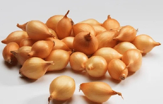 Лук-севок Штутті 1 кг, Нідерланди