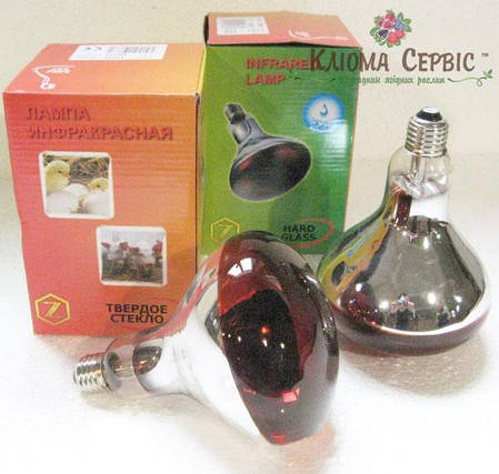 Інфрачервона лампа Lux Light IR R125 150 Вт, Червона, фото 2